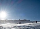 IMG 0370