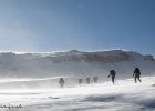 IMG 0373