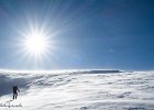 IMG 0425