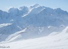 IMG 0435