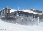 IMG 0437
