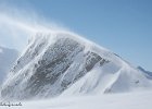 IMG 0460