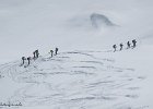 IMG 0466