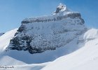 IMG 0475