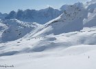 IMG 0477