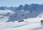 IMG 0482