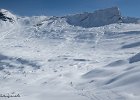 IMG 0497