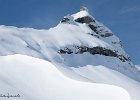 IMG 0499