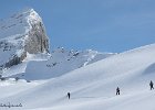 IMG 0508