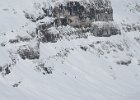 IMG 0509