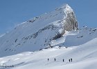 IMG 0519