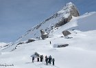 IMG 0524