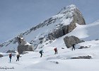 IMG 0529