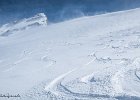 IMG 0614