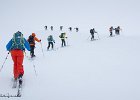 IMG 0623