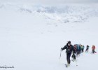 IMG 0639