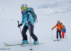 IMG 0650