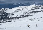 IMG 0654