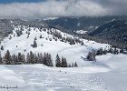 IMG 0733