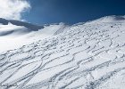 IMG 0737