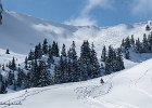 IMG 0741