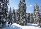 IMG 0747