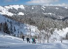 IMG 0753