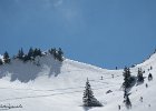 IMG 0780