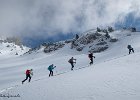 IMG 0781