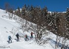IMG 0858
