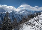 IMG 0862