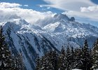 IMG 0865