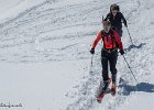 IMG 0871