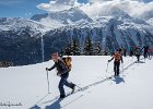 IMG 0884