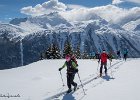 IMG 0888