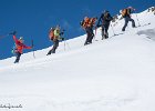 IMG 0955