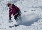IMG 1126
