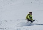 IMG 1137