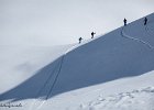 IMG 1152