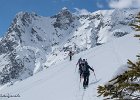 IMG 1185