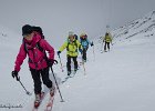 IMG 1204
