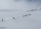 IMG 1219
