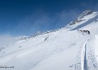 IMG 1231