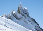 IMG 1249