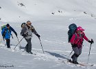 IMG 1317