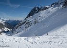 IMG 1339