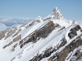 IMG 7498 : 2024_02_17_Trou_Mouche_Tete_Pelouse, Scouts_Trou_Mouche_Tete_Pelouse, Selection_2024_02_17_Trou_Mouche_Tete_Pelouse