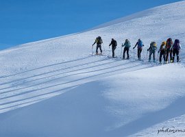 IMG 7890 : 2024_02_25_Aouille_de_Bostan, Scouts_2024_02_25_Aouille_de_Bostan_2024_02_25_Aouille_de_Bostan, Selection_2024_02_25_Aouille_de_Bostan, Zoom_2024_02_25_Aouille_de_Bostan