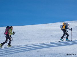 IMG 7895 : 2024_02_25_Aouille_de_Bostan, Scouts_2024_02_25_Aouille_de_Bostan_2024_02_25_Aouille_de_Bostan, Selection_2024_02_25_Aouille_de_Bostan