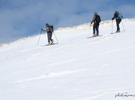 IMG 8020 : 2024_02_25_Aouille_de_Bostan, Scouts_2024_02_25_Aouille_de_Bostan_2024_02_25_Aouille_de_Bostan, Selection_2024_02_25_Aouille_de_Bostan